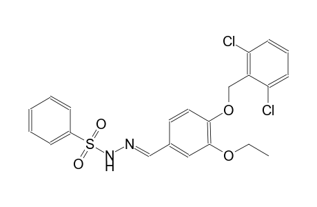 N'-((E)-{4-[(2,6-dichlorobenzyl)oxy]-3-ethoxyphenyl}methylidene)benzenesulfonohydrazide