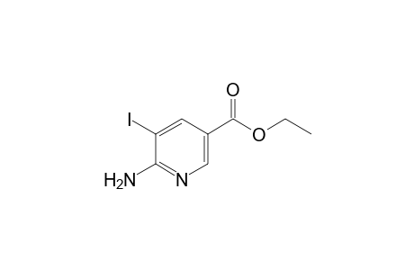 Ethyl 6-amino-5-iodonicotinate