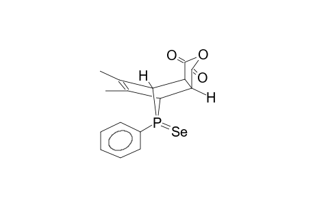 5,6-DIMETHYL-8ANTI-PHENYL-3A,4,7,7A-TETRAHYDRO-4,7-PHOSPHINIDEN-ISOBENZOFURAN-1,3-DIONE-8-SELENIDE