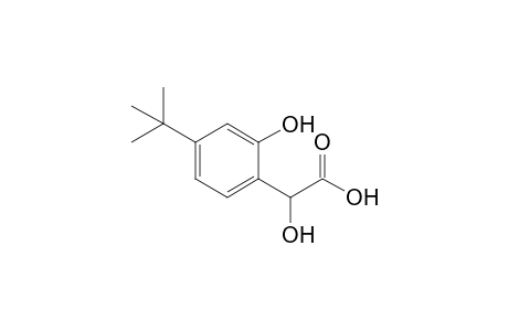 (+)-Hydroxy-2-(2-hydroxy-4-t-butylphenyl)ethanoic acid