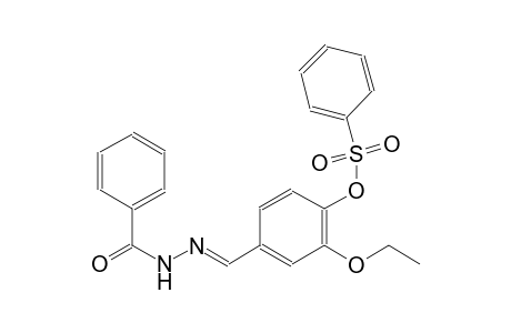 4-[(E)-(benzoylhydrazono)methyl]-2-ethoxyphenyl benzenesulfonate