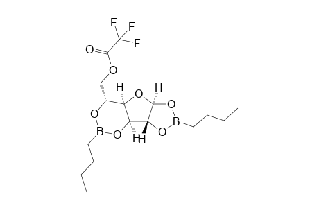alpha-D-glucofuranose cyclic 1,2:3,5-bis(butylboronate)-6-trifluoroacetate