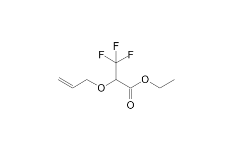 2-Allyloxy-3,3,3-trifluoro-propionic acid ethyl ester