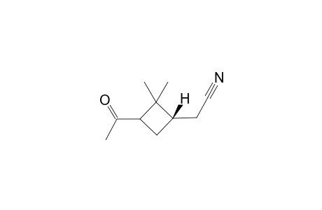 2-(3-acetyl-2,2-dimethyl-cyclobutyl)acetonitrile