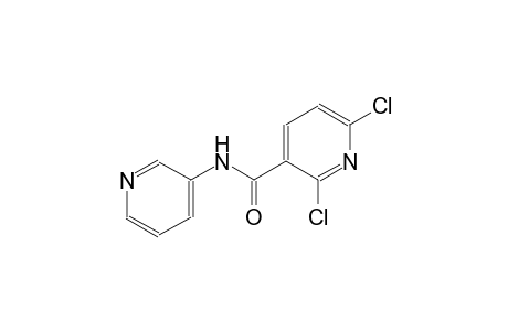 3-pyridinecarboxamide, 2,6-dichloro-N-(3-pyridinyl)-