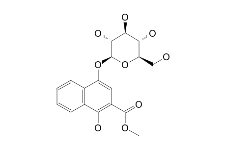 RUBINAPHTHALIN_A_METHYLESTER;2-CARBOMETHOXY-1,4-NAPHTHOHYDROQUINONE-4-O-BETA-D-GLUCOPYRANOSIDE