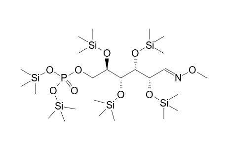 Glucose-6-phosphate, 6TMS, 1MEOX