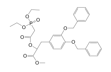 Methyl 3-( 3',4'-dibenzyloxyphenyl)-2-(diethylphosphonoacetyl)-lactate