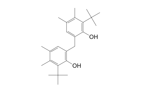 Phenol, 2,2'-methylenebis[6-(1,1-dimethylethyl)-4,5-dimethyl-