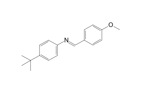 p-tert-butyl-N-(p-methoxybenzylidene)aniline