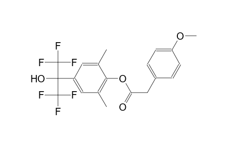 2,6-dimethyl-4-[2,2,2-trifluoro-1-hydroxy-1-(trifluoromethyl)ethyl]phenyl (4-methoxyphenyl)acetate