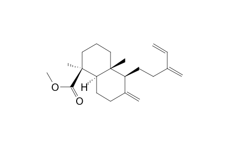 1-Naphthalenecarboxylic acid, decahydro-1,4a-dimethyl-6-methylene-5-(3-methylene-4-pentenyl)-, methyl ester, [1S-(1.alpha.,4a.alpha.,5.alpha.,8a.beta.)]-