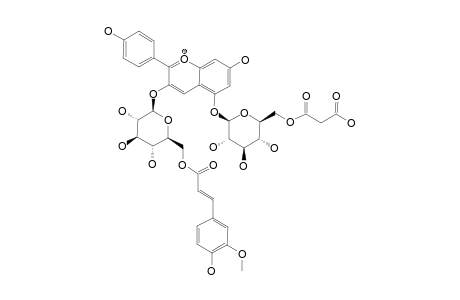 PELARGONIDIN-3-O-(6-O-FERULOYL-BETA-D-GLUCOPYRANOSIDE)-5-O-(6-O-MALONYL-BETA-D-GLUCOPYRANOSIDE)