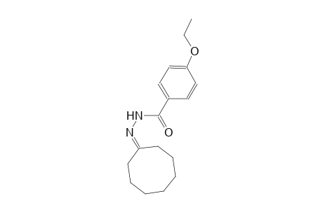 N'-cyclooctylidene-4-ethoxybenzohydrazide