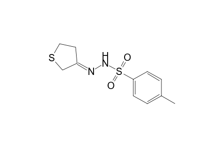 4-methyl-N-[(E)-3-thiolanylideneamino]benzenesulfonamide