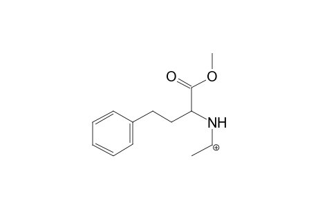 Trandolapril-M (H3C-OOC-) MS3_1