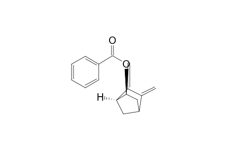 Bicyclo[2.2.1]heptan-2-ol, 5,6-bis(methylene)-, benzoate, (1S-endo)-
