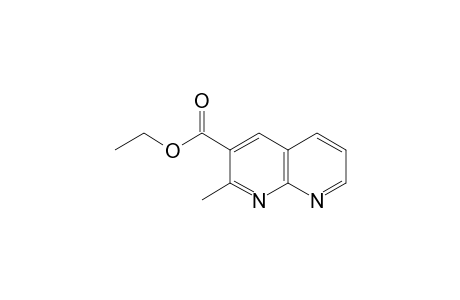 1,8-Naphthyridine-3-carboxylic acid, 2-methyl-, ethyl ester
