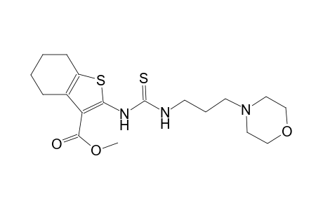 methyl 2-[({[3-(4-morpholinyl)propyl]amino}carbothioyl)amino]-4,5,6,7-tetrahydro-1-benzothiophene-3-carboxylate
