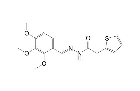 2-thiopheneacetic acid, 2-[(E)-(2,3,4-trimethoxyphenyl)methylidene]hydrazide