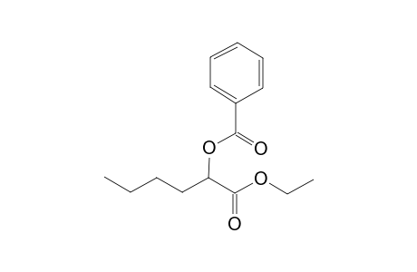 Ethyl dl-2-Hydroxycaproate, Benzoyl Ester