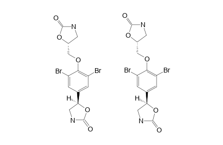 (7R*,11S*)-5-[3,5-DIBROMO-4-[(2-OXO-5-OXAZOLIDINYL)]-METHOXYPHENYL]-2-OXAZOLIDINONE