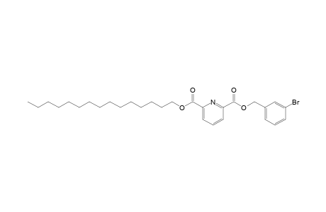 2,6-Pyridinedicarboxylic acid, 3-bromobenzyl pentadecyl ester