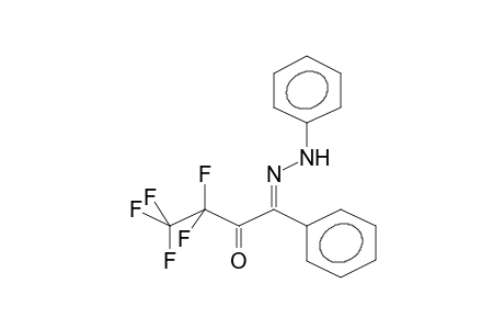 PHENYLPENTAFLUOROETHYLGLYOXAL, PHENYLHYDRAZONE