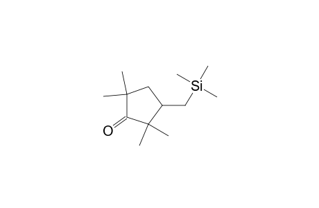 2,2,5,5-Tetramethyl-3-(trimethylsilylmethyl)cyclopentanone