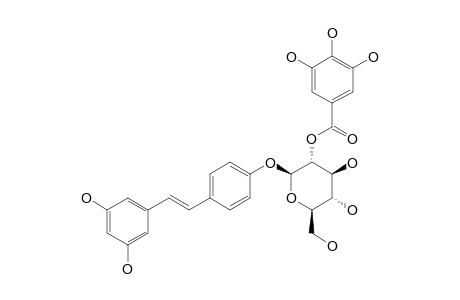 TRANS-3,5,4'-TRIHYDROXY-STILBENE-4'-O-BETA-D-(2-O-GALLOYL)-GLUCOPYRANOSIDE
