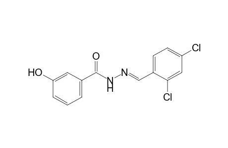 m-hydroxybenzoic acid, (2,4-dichlorobenzylidene)hydrazide