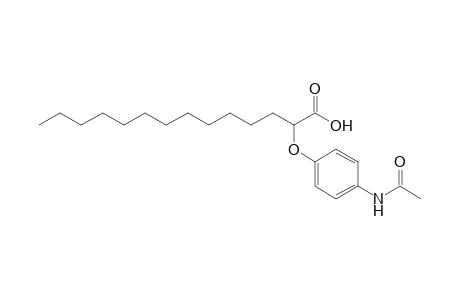 2-(4'-Acetamidophenoxy)tetradecanoic acid