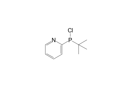 2-(tert-butylchlorophosphanyl) pyridine