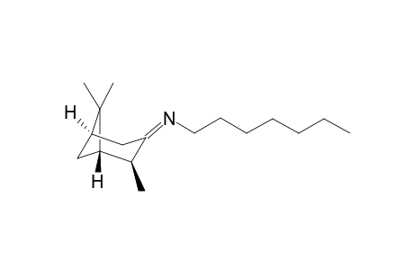 N-heptyl-3-pinoneimine