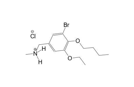 (3-bromo-4-butoxy-5-ethoxyphenyl)-N-methylmethanaminium chloride