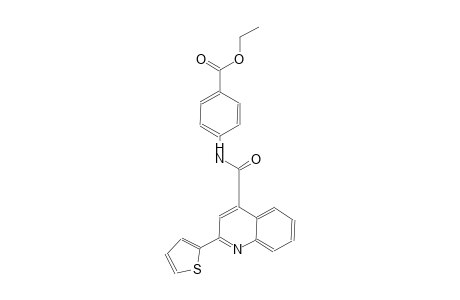 benzoic acid, 4-[[[2-(2-thienyl)-4-quinolinyl]carbonyl]amino]-, ethyl ester