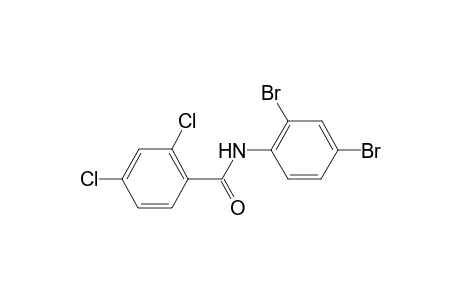 2,4-Dichloro-N-(2,4-dibromo-phenyl)-benzamide