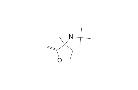 3-(N-TERT.-BUTYLAMINO)-3-METHYL-2-METHYLENEOXOLANE