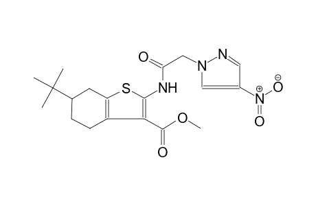 benzo[b]thiophene-3-carboxylic acid, 6-(1,1-dimethylethyl)-4,5,6,7-tetrahydro-2-[[(4-nitro-1H-pyrazol-1-yl)acetyl]amino]-, methyl ester