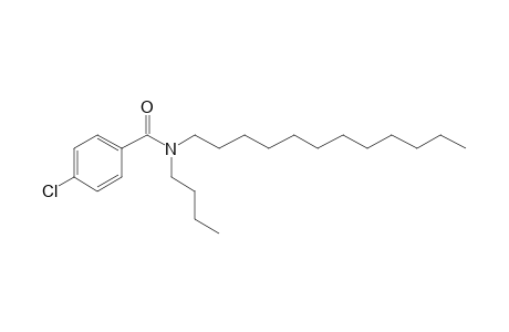 Benzamide, 4-chloro-N-butyl-N-dodecyl-