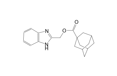 1H-benzimidazol-2-ylmethyl 1-adamantanecarboxylate