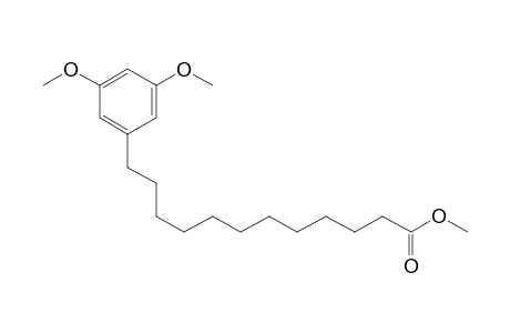 methyl 12-(3,5-dimethoxyphenyl)dodecanoate