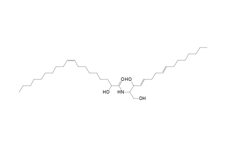 Cer 16:2;2O/19:1;(2OH)