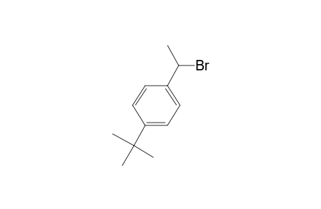 1-(1-Bromoethyl)-4-tert-butylbenzene
