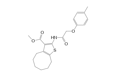 methyl 2-{[(4-methylphenoxy)acetyl]amino}-4,5,6,7,8,9-hexahydrocycloocta[b]thiophene-3-carboxylate