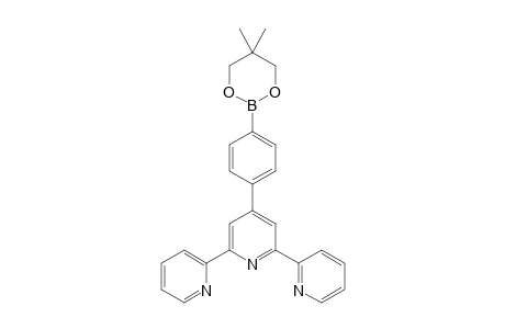 4'-{4-(Neopentylglycolatoboron)phenyl}-2,2':6',2"-terpyridine