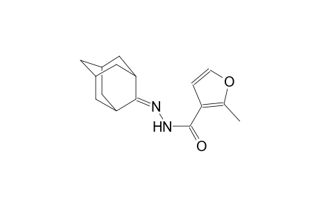 2-methyl-N'-tricyclo[3.3.1.1~3,7~]dec-2-ylidene-3-furohydrazide
