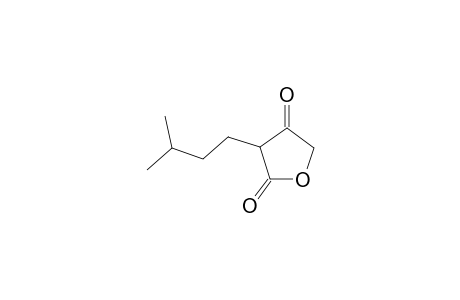 2,4(3H,5H)-Furandione, 3-isopentyl-