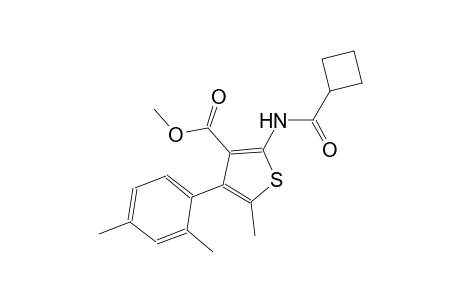 methyl 2-[(cyclobutylcarbonyl)amino]-4-(2,4-dimethylphenyl)-5-methyl-3-thiophenecarboxylate