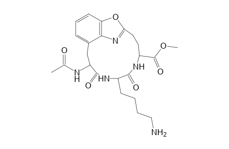 7-(Acetylamino)-10-(4-aminobutyl)-8,11-dioxo-19-oxa-9,12,17-triazatricyclo[14.2.1.0(5,18)]nonadeca-1(18),2,4,16-tetraene-13-carboxylic acid methyl ester